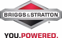 Briggs & Stratton LLC logo