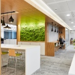 Open meeting and collaboration space next to welcoming moss wall at the Iron Mountain London office.