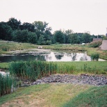 Stormwater pond - After Apex restoration