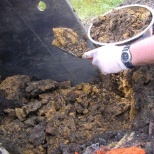 Soil sampling from big dig