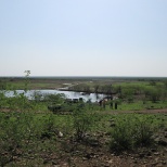 Watering hole near Lokichoggio, Turkana, County, Kenya