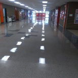 Waxed floors