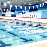 Big Blue Swim School - Niles